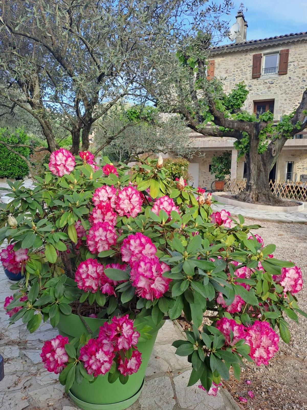 Gite 3 "Le Canal De Baza" Aux Magnolias Обена Екстериор снимка