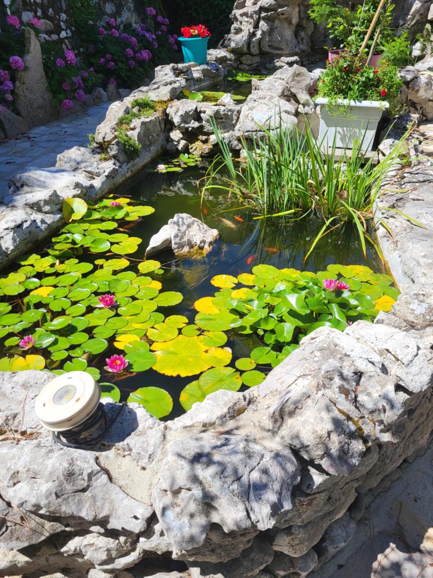 Gite 3 "Le Canal De Baza" Aux Magnolias Обена Екстериор снимка
